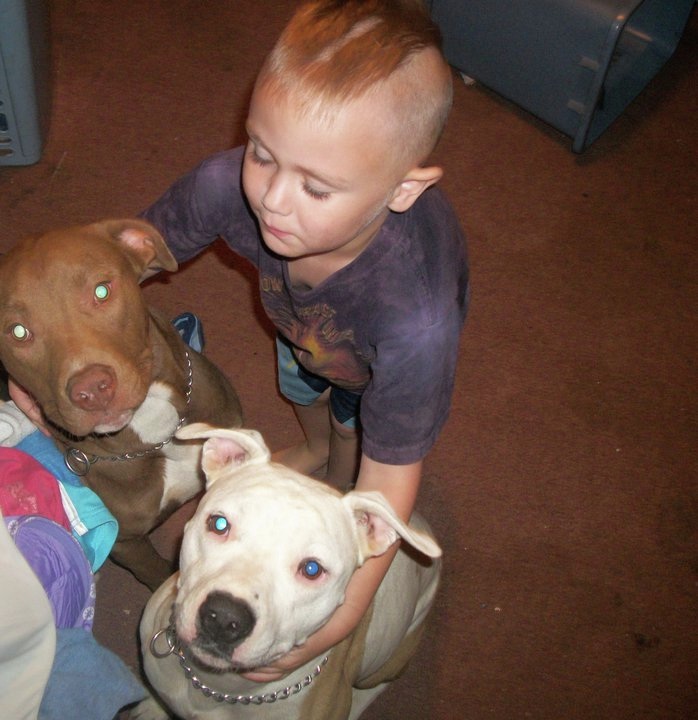 Pit Bull Love (pictures) - Pit Bull facts and Education